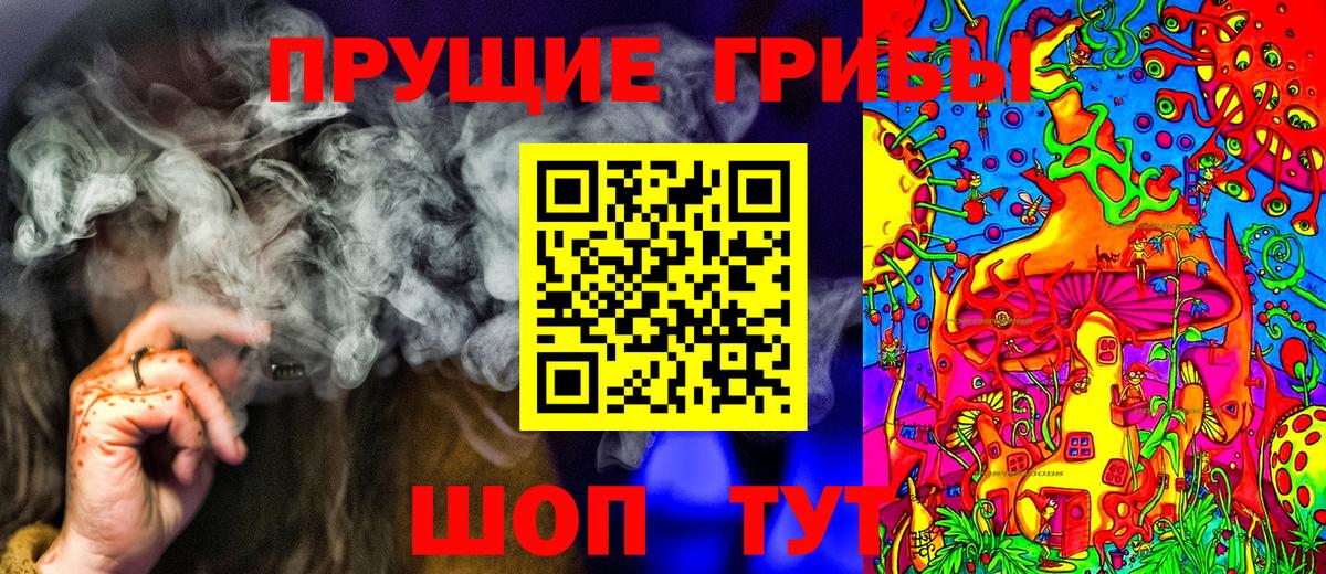 Псилоцибиновые грибы Psilocybine cubensis Черкесск