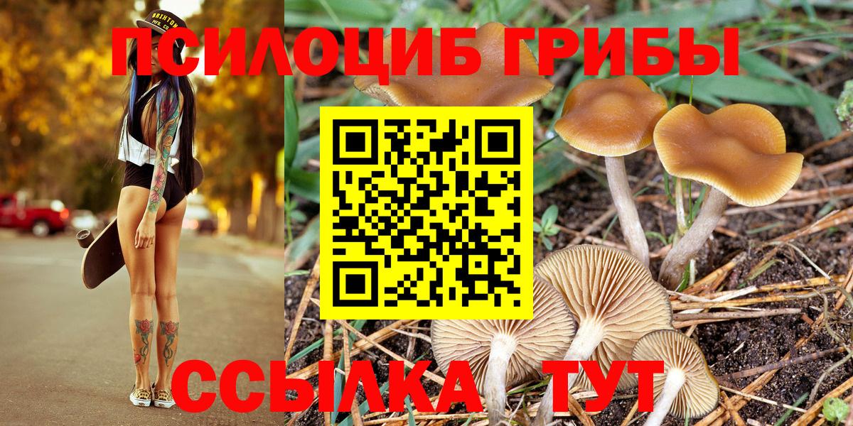 Черкесск  Галлюциногенные грибы Psilocybe  Вход с VPN 
