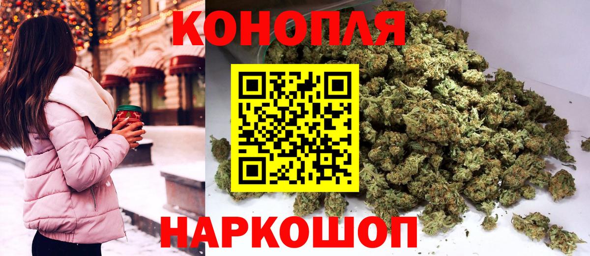 Конопля планчик Черкесск